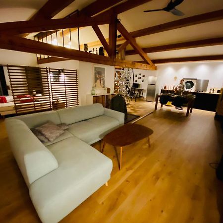 Апартаменти Le Loft Occitanie Sud De France Ceilhes-et-Rocozels Екстер'єр фото